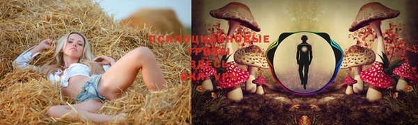 MDMA Белоозёрский