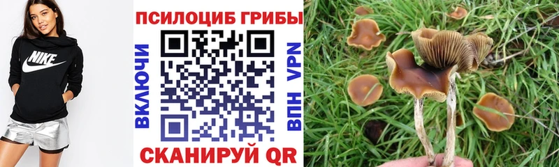 наркотики Ворсма Галлюциногенные грибы Cubensis
